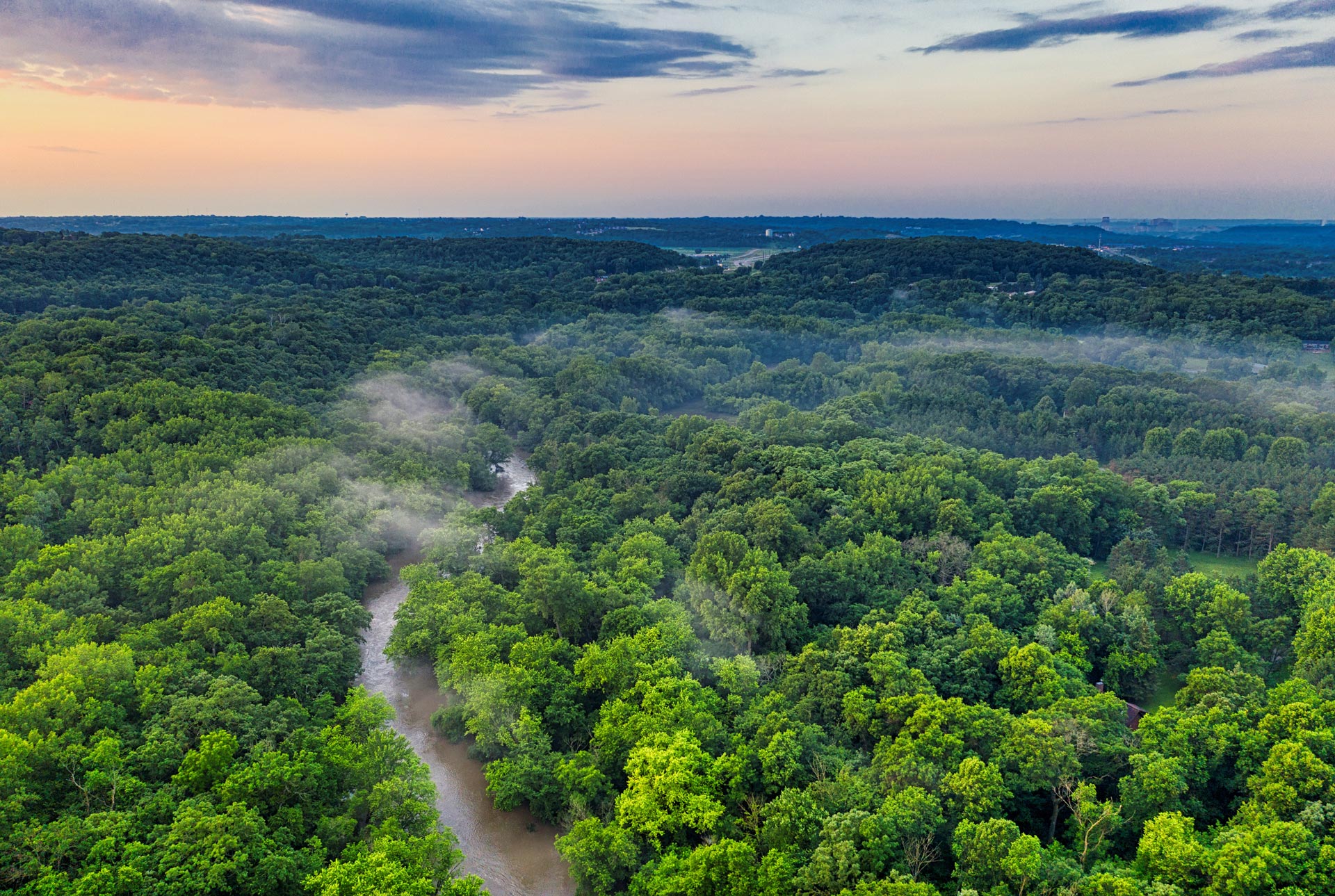 Amazon Rainforest